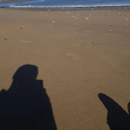 Maison A 8 Min A Pied De La Avec Jardin Clos Et Ombrage