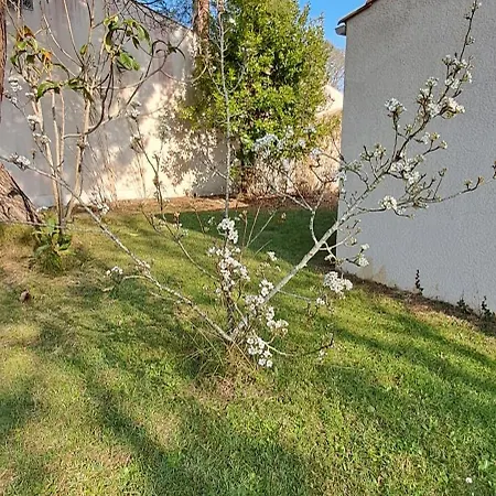 Maison A 8 Min A Pied De La Avec Jardin Clos Et Ombrage