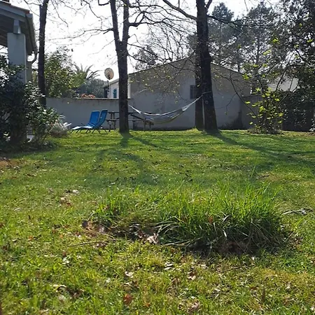 Maison A 8 Min A Pied De La Avec Jardin Clos Et Ombrage *