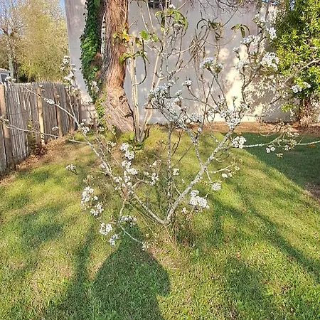 Maison A 8 Min A Pied De La Avec Jardin Clos Et Ombrage بيت للعطل
