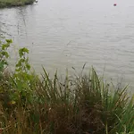 Maison A 8 Min A Pied De La Avec Jardin Clos Et Ombrage