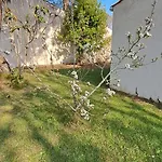 Maison A 8 Min A Pied De La Avec Jardin Clos Et Ombrage