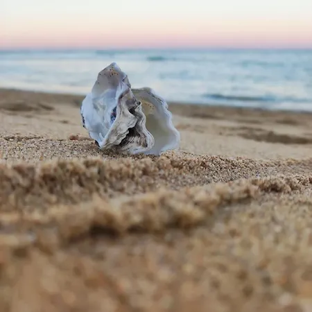 Maison A 8 Min A Pied De La Avec Jardin Clos Et Ombrage