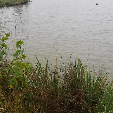 Maison A 8 Min A Pied De La Avec Jardin Clos Et Ombrage